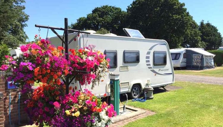 Caravan parked up on one of the sites pitches with colourful flowers surrounding it 